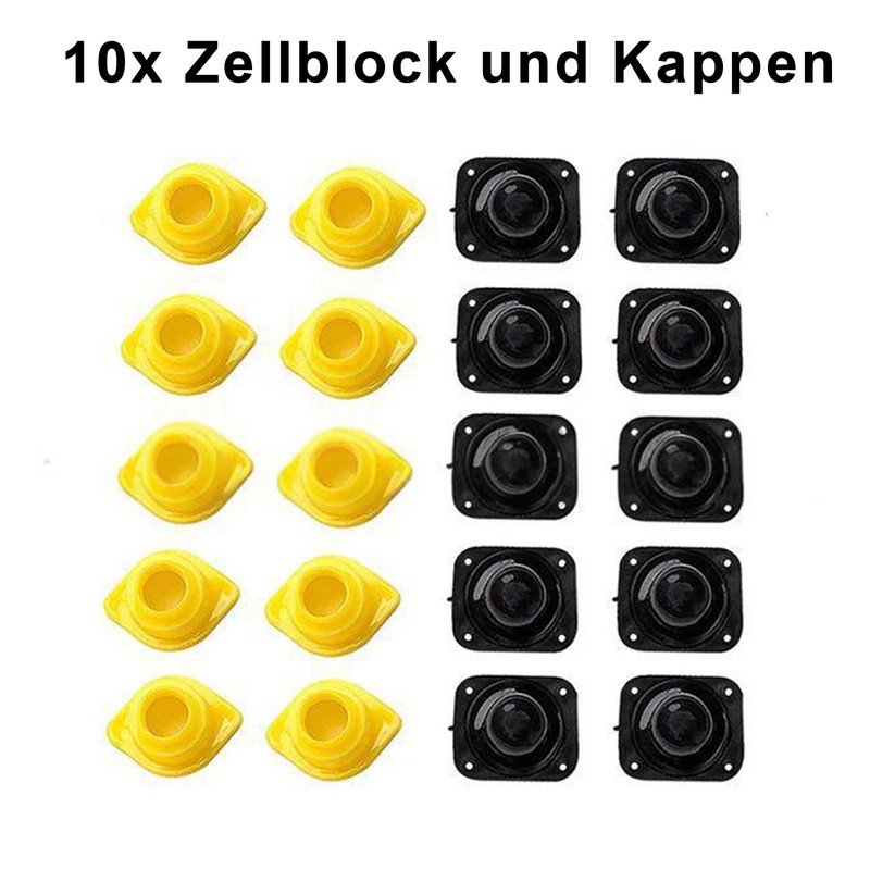 Beekeeper Breeding Set for Beekeepers with Nicot System for Beekeeping/Beekeeping