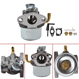 raseparter 591925 Carburetor Replacement for 698479 693518 698475 591925 Engine Motor Powered Chipper