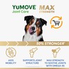 YuMOVE Senior Max Strength for Dogs Daily Bites 120 pack