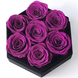 Kylin Glory Preserved Roses with Hexagon Acrylic Cover - 7 Piece Forever Flowers, Visible Freshness, Perfect for Mothers & Valentines Day Gifts (Purple)