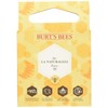 Burt's Bees Kit de regalo color y cuidado natural
