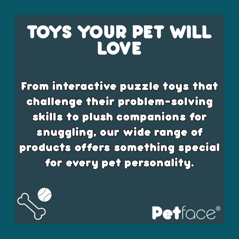 Petface Retro Camera Plush Dog Toy