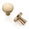 Ravinte 5 Pack Champagne Bronze Cabinet Knobs Mini Round Knobs