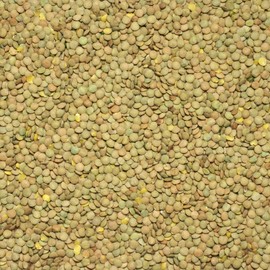 Green Lentils, Dried Whole Lentils, Natural Protein Boost in Hand-Picked Gourmet Quality (400)