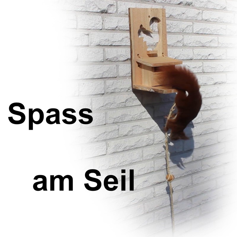Squirrel Feeder with Flap - Animal Friendly Extra Large Wooden