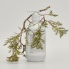 Cha Hong (지성.비듬케어) 바이탈 스캘프 샴푸 500 ml (Oily. Dandruff