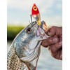 Bomber Lures BSWDTL3348 Saltwater Grade Badonk-A-Donk Low Pitch, Silver Flash/Pink