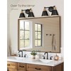 FEMILA Black Bathroom Light Fixtures, 2-Light Bathroom Vanity Lights Over