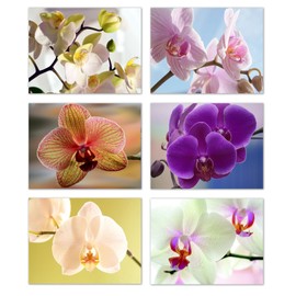 Orchid Blank Note Cards - Flower Greeting Cards with Envelopes - 6 Unique Designs - 5.5"x4.25" (24 Pack)