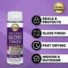Aleene's Spray 6 oz. 3 Pack Acrylic Sealer, Clear-Gloss 3