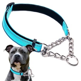 Light Blue Martingale Collar for Dogs, Reflective Nylon Dog Collar Adjustable Stainless Steel Chain Collar Female No Pull Pet Training Collar for Small Medium Large Dogs, XL