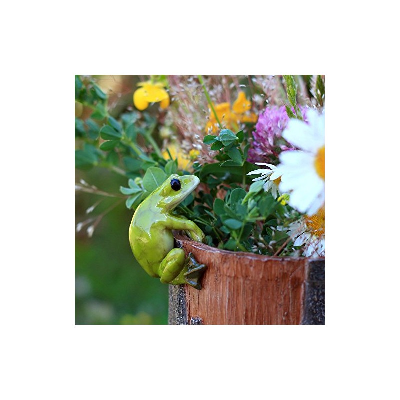 Top Collection Miniature Fairy Garden and Terrarium Frog Flower Pot