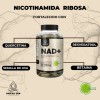 NAD+ Nicotinamida Ribosa, Resveratrol, Betaina, Quercetina Raíces Zen Súper Premium