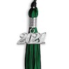 Endea Graduation Mixed Double Color Tassel with Silver Date Drop