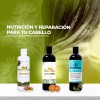 Filip Natural - Shampoo Caléndula, Reparación, 500ml