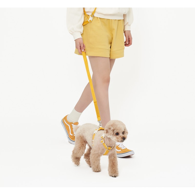PETHROOM [Festroom] Anti-Shock Manners Leash Dog Walking Lead Neck Collar