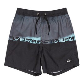 [クイックシルバー] ボードショーツ EVERYDAY WORDBLOCK VL YTH14 ボーイズ KVJ8