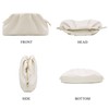 Milisente Women's Clutch Cloud Pleated Evening Bag Elegant Bag Small