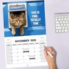 2025 Peed-Off Cats Calendar - Funny Cat Themed Gifts For