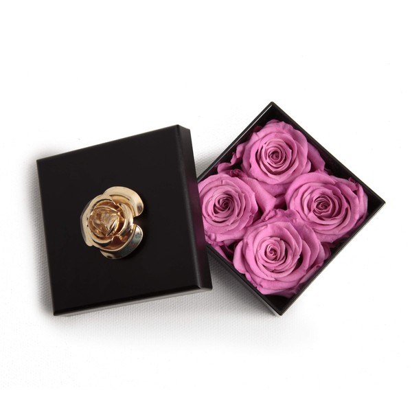 Rosemarie Schulz Heidelberg Infinity Rose, lasts for 3 Years, in