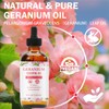 Geranium Essential Oil for Skin Care, Pure and Natural Essential