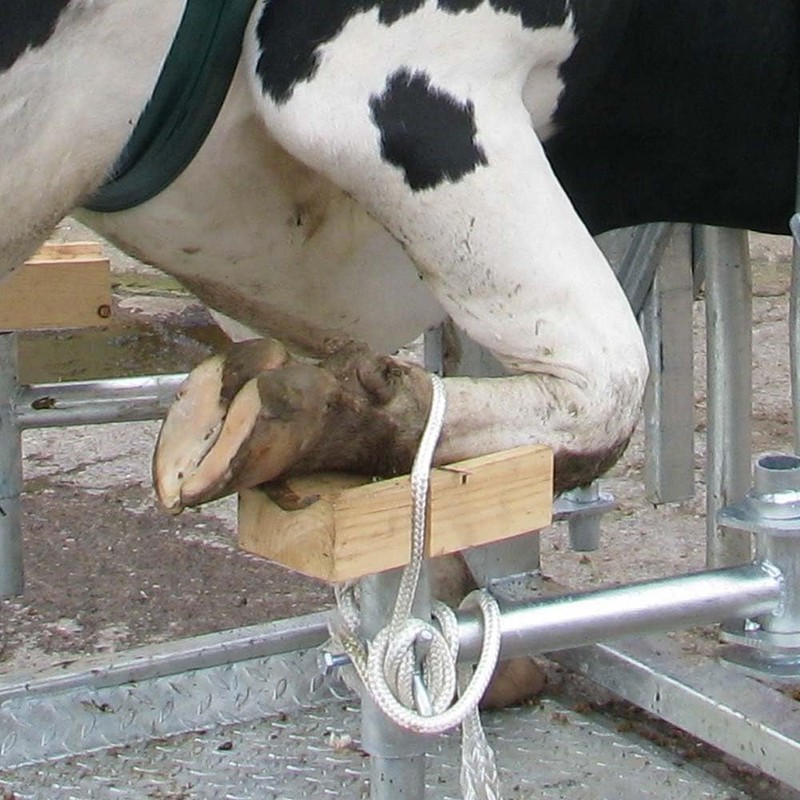 including Vibra-Stop,115 mm - A01296