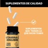 Vitamina Capsulas Potenciada Antioxidantes Anti Inflamatorios Jengibre Equinácea Ajo Aceite