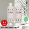 Ginza Marukan No.19 Power Shampoo for Your Scalp, Clean, Hair