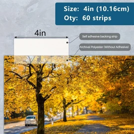 See Through Archival Mounting Strips