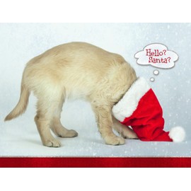 Hello Santa Cute Yellow Golden Retriever Pup First Christmas Holiday Card, 15 Cards,16 Envelopes