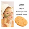 TAIMAKA Esponja Limpieza Facial Compresa Celulosa Comprimida C/50 Pz