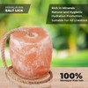 Himalayan Salt Lick for Horses, Livestock– (3-4 lbs) Natural Mineral