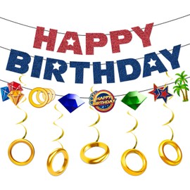 Tentaquil Hedgehog Birthday Party Decorations - Complete Set with Happy Birthday Banner, Garland & Hanging Swirls - Blue Plastic/Resin