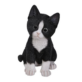 Vivid Arts Pet Pals Kitten (Ginger)