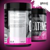 Warrior Warrior Creatine Monohydrate Powder C Micronised for Easy Mixing