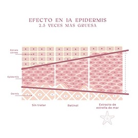 Serum Facial Anti Arrugas, Vitamina C, Extracto Estrella de Mar Antiaging, Vitamina E, Complejo Botanico, Ginkgo Biloba, Argan, Rosa Mosqueta