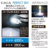Carmate GHB260N HID Genuine Replacement GIGA Perfect Sky D2R D2S