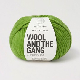 Knitting Wool and the Gang Crazy Sexy Wool - Chunky Merino Plain Crochet Yarn - Wonderland Green