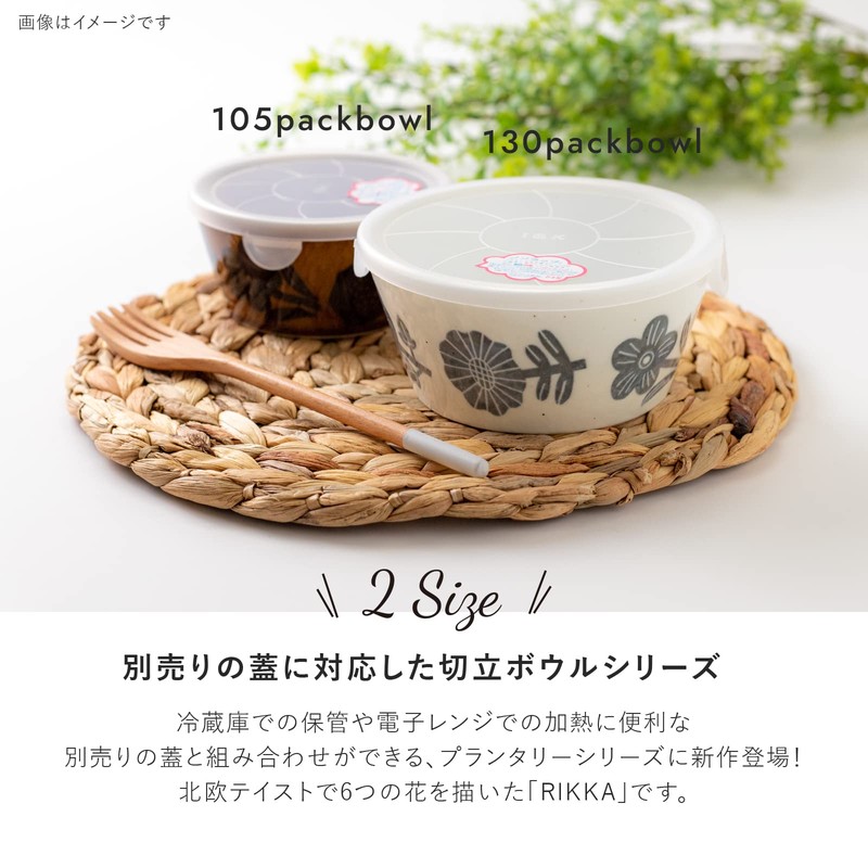 Mino Pottery PLANTAREE-RIKKA- 130 Pack Bowl, White, Set of 2,