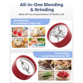 Ganiza 900W Blenders for Shakes and Smoothies, 15-Piece Personal Blender and Grinder Combo for Kitchen, Smoothies Maker with 4 BPA-Free Portable Cup, Nutritious Recipe Red