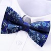 XOXVURI Bow Tie, Men's Already Tied Adjustable Bow, Plain Paisley