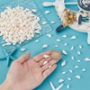 AHANDMAKER 450pcs 3 Styles Ocean Beach Shells Spiral Shell Fish