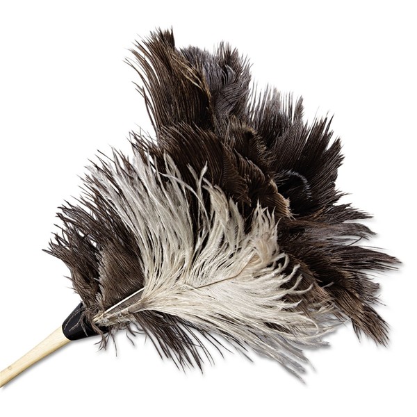 Boardwalk 13FD Professional Ostrich Feather Duster 7-Inch Handle