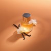 MIX:BAR Perfume for Women - Vanilla Bourbon Fragrance - Eau