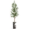 Artificial Tree in Black & White Close Up Planter, Fake