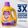 ARM & HAMMER Plus OxiClean Odor Blasters Fresh Botanical, 77