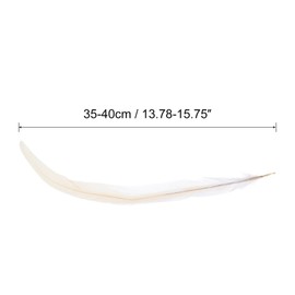 PATIKIL 14-16 Inch Rooster Feathers, 20 Pack Bulk Natural Feathers for Crafts Carnival Handwork Clothing Costumes Wedding Party Style 1, White