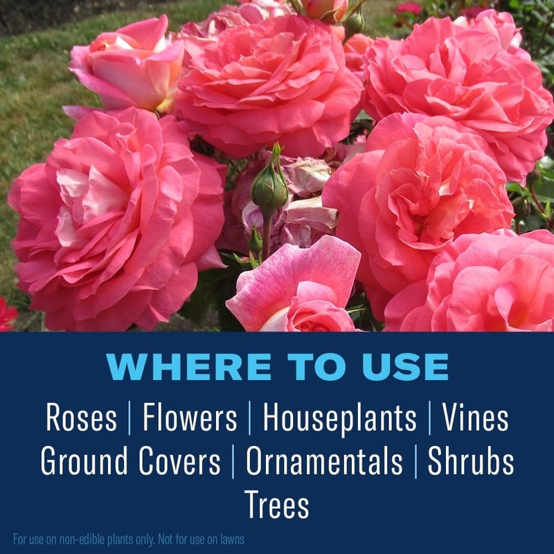 BioAdvanced 3-In-1 Insect, Disease and Mite Control, Fungicide, Ready-to-Spray, 32