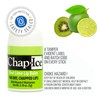 Chap-Ice® | 12-Count Mini Kiwi Lime Lip Balm | Lip