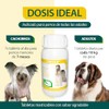 RUILAND Suplemento Omega 3 y Omega 6 para Perros